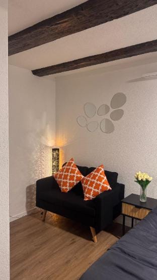 Andaman Studio Apartment in Lucerne