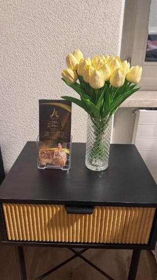 Andaman Studio Apartment in Lucerne