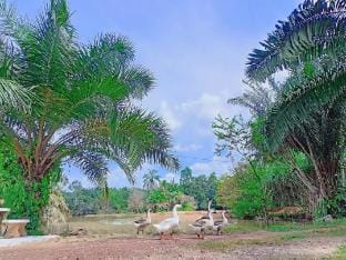 ธนิชาแกรนด์ บ้านพักตากอากาศ Vacation rental in Krabi Changwat