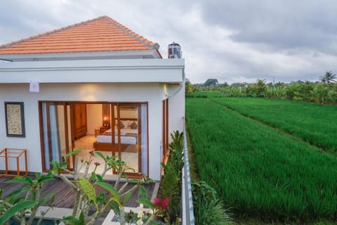 Villa Vasista Hotel in Abiansemal