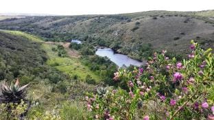 Wild Rescue Nature Reserve Vacation rental in Western Cape
