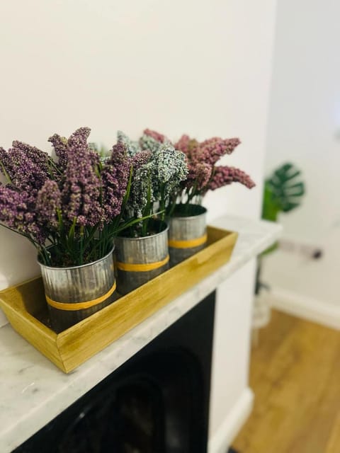 Spacious 2 bedroom, parking+ 10 mins walk to city Apartment in Lincoln