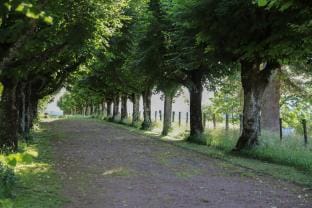 Les chambres d'Hôtes du Château de Vaulx Country House in Bourgogne-Franche-Comté