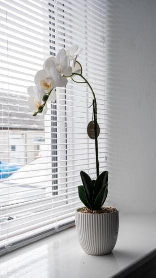 Camneth House Vacation rental in England