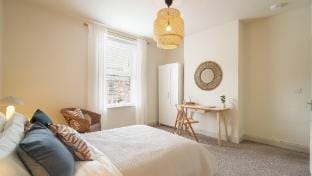 Crookes Gem with Garden & Alpacas Nearby Vacation rental in Sheffield