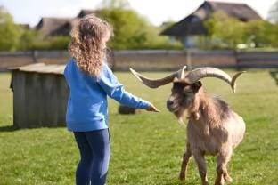Apartment im Van der Valk Resort Linstow Apartment in Mecklenburgische Seenplatte