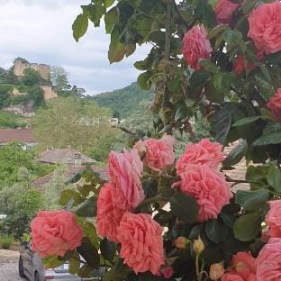 Wellness & Intermittent Fasting Stay by Mélissa Apartment in Auvergne-Rhône-Alpes