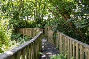 Cornflower at Gorslwyd - Sound Retreat Vacation rental in Penbryn