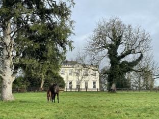 Lismacue House Vacation rental in Co. Tipperary, Ireland