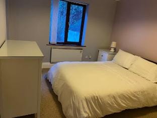 Minehead Seaview Apartments Apartment in Minehead