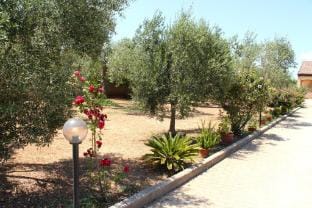 The Compass Rose Vacation rental in Sardinia
