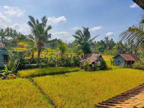 YogaUnion Earth Hotel Hotel in Ubud