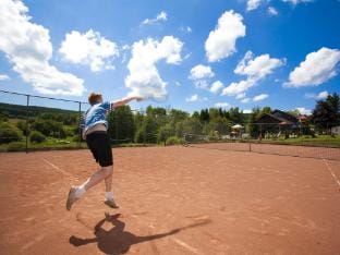 Forestside Chalet with Charm Vacation rental in Manhay