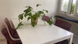 Liseberg-Near Apt City Centre  WOW Fest Apartment in Gothenburg