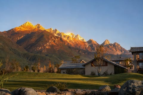 Property view