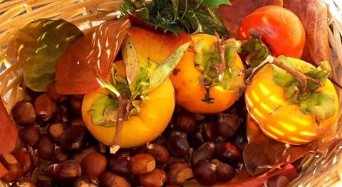 Casa di Alessandro Bed and Breakfast in Marina di Massa