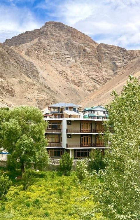 Property view