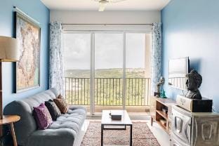 Property view