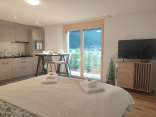 Blausee 5min I Interlaken 20min I gratis Parkplatz Apartment in Canton of Valais