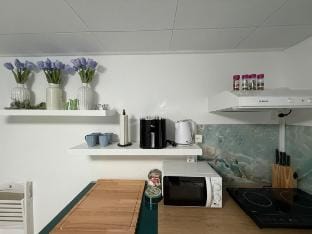 Romantic studio in the middle of vineyards II Apartment in Schaffhausen, Switzerland