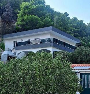 App Bradaric 50 meters from the beach 2+2 Vacation rental in Dubrovnik-Neretva County