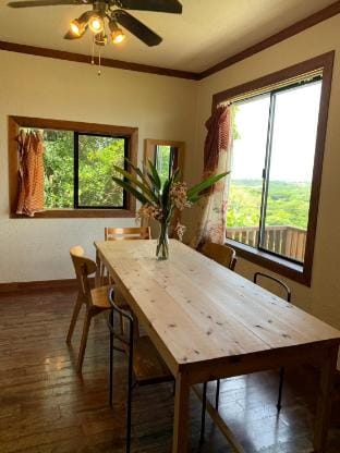 Property view