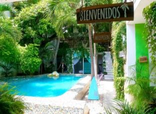 Casa Daikiri Hostel Zicatela Beach Bed and Breakfast in Brisas de Zicatela