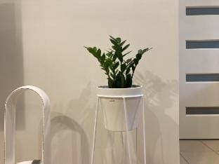 Cozy Eco Home in Launceston, Tasmania Vacation rental in Launceston