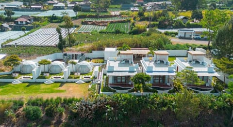 Pulestis Glamping Hotel in Karangasem Regency