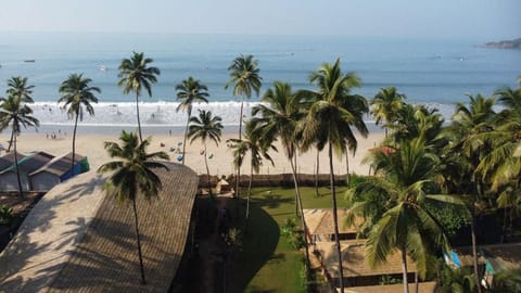 Property view