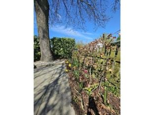 Quietly located holiday home in Zeeland Vacation rental in Bruinisse