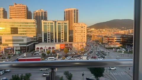 Property view