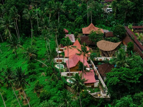 Sena Villa Ubud Hotel in Abiansemal