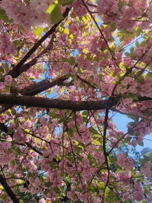 Casa Valeri in Sondrio Apartment in Sondrio