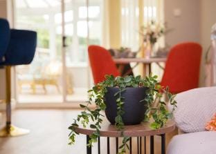 Bright 3-Bed House – Garden & Parking Included Vacation rental in Ipswich