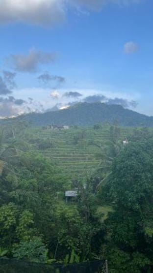 Wayan Bola Homestay Vacation rental in Sidemen