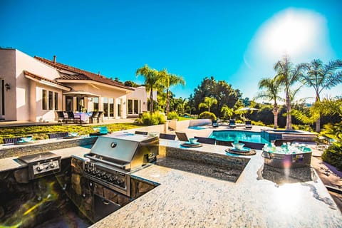 Polished counters surrounding the BBQ.