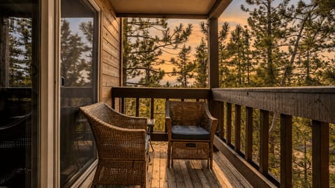 Calming view of pine trees.