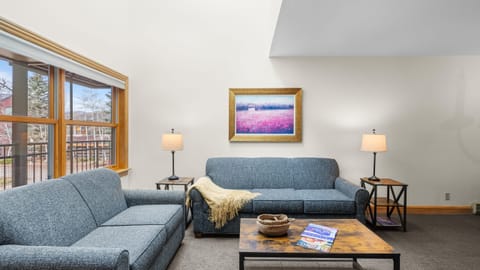 Living room with plush sofa.