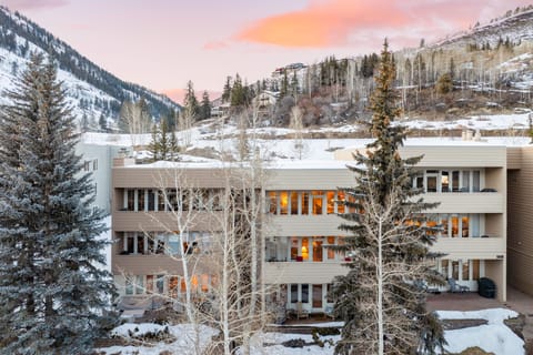 Located just a 10 minute walk from shopping, dining, and ski lifts at Lionshead Village!