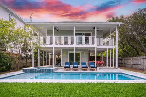 Welcome to Dolphin Days!