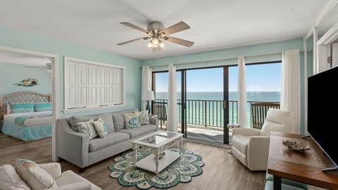 Welcome to Gull Watch!