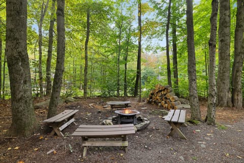 Firepit surrounded by trees.