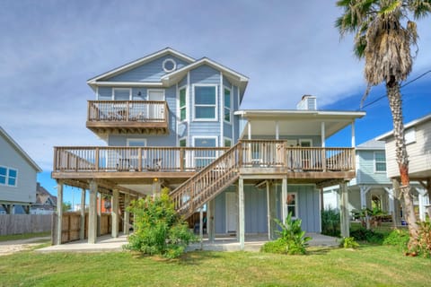 Welcome! (Palm house)