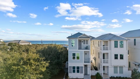 Welcome to The Palmetto Blue!