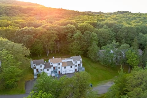 Aerial view featuring dense green trees.