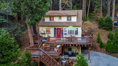 Welcome to Cedar Cove!