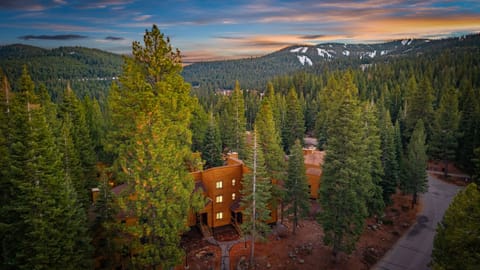 Aerial view of the neighborhood.