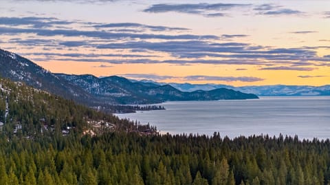 Scenic aerial view of a dense evergreen forest leading to a wide lake and distant mountains at sunset.