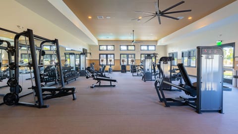 A modern gym with professional equipment and plenty of natural light.